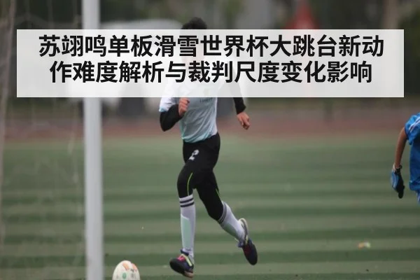 苏翊鸣单板滑雪世界杯大跳台新动作难度解析与裁判尺度变化影响（Yabo）
